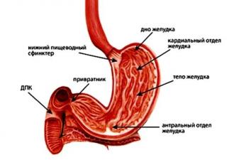Časté ochorenia gastrointestinálneho traktu